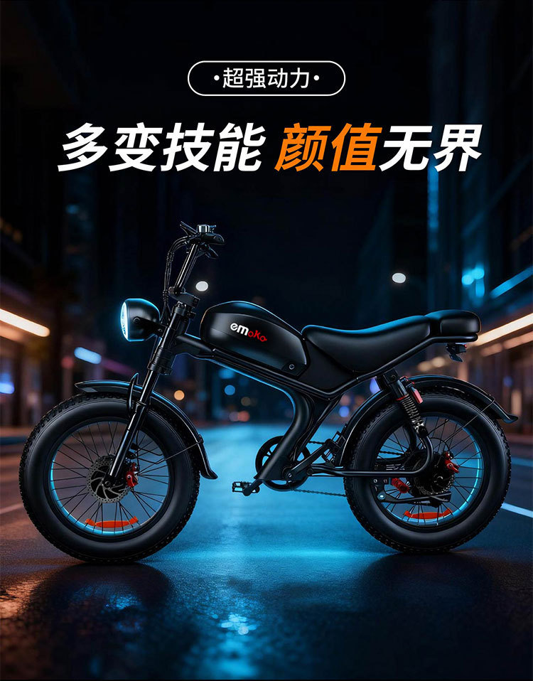 20-inch Fat Tire C93 Dual Drive E-Bike Mountain Off-Road Commuter
