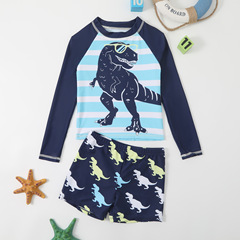 New boy's swimwear, separate long-sleeved dinosaur pattern children's swimwear, comfortable high elasticity, high-quality swimming costume