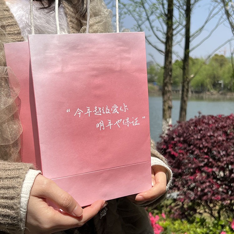 现货ins风博主同款情人节纸袋礼品袋饰品包装袋杂物收纳袋可爱风