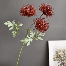 �������z�S�����ᘉ|�����W�Ҿӻ�c�b�����滨�ٻ��������l