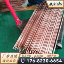 ӢCC101t~ t~ ĥߌt~ t~ t~h