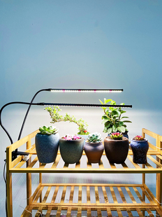 ✅ Led Full Spectrum Plant Growth Fill Light Flower Stand Clip Metal Hose Timing Model Succulent Potted Green Plants