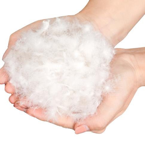 Feather Down for Sofa Pillow Mattress No Odor Clean High Fluffy Five Compartment 2-4 Washed White Goose Wool