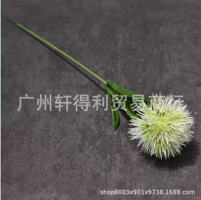 4b48cf4d1b409748319abc97815a29