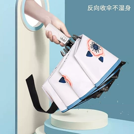 晴雨伞;遮阳/太阳伞;广告伞