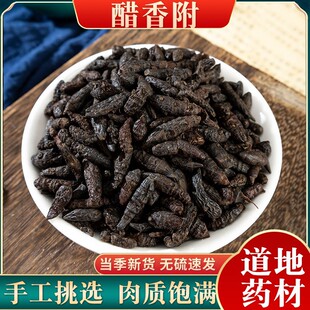 ���㸽 ���㸽 ���㸽�Ӵ��㸽���㸽500g���]�㸽���㸽�㸽��