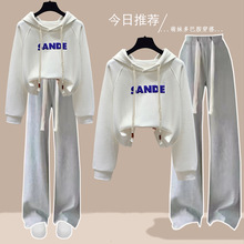 2024�＾�¿����bŮ�ЌW���L���l�WԺ�L���������ɼ����n��ñ��