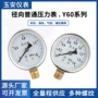 真空径向抗压普通压力表