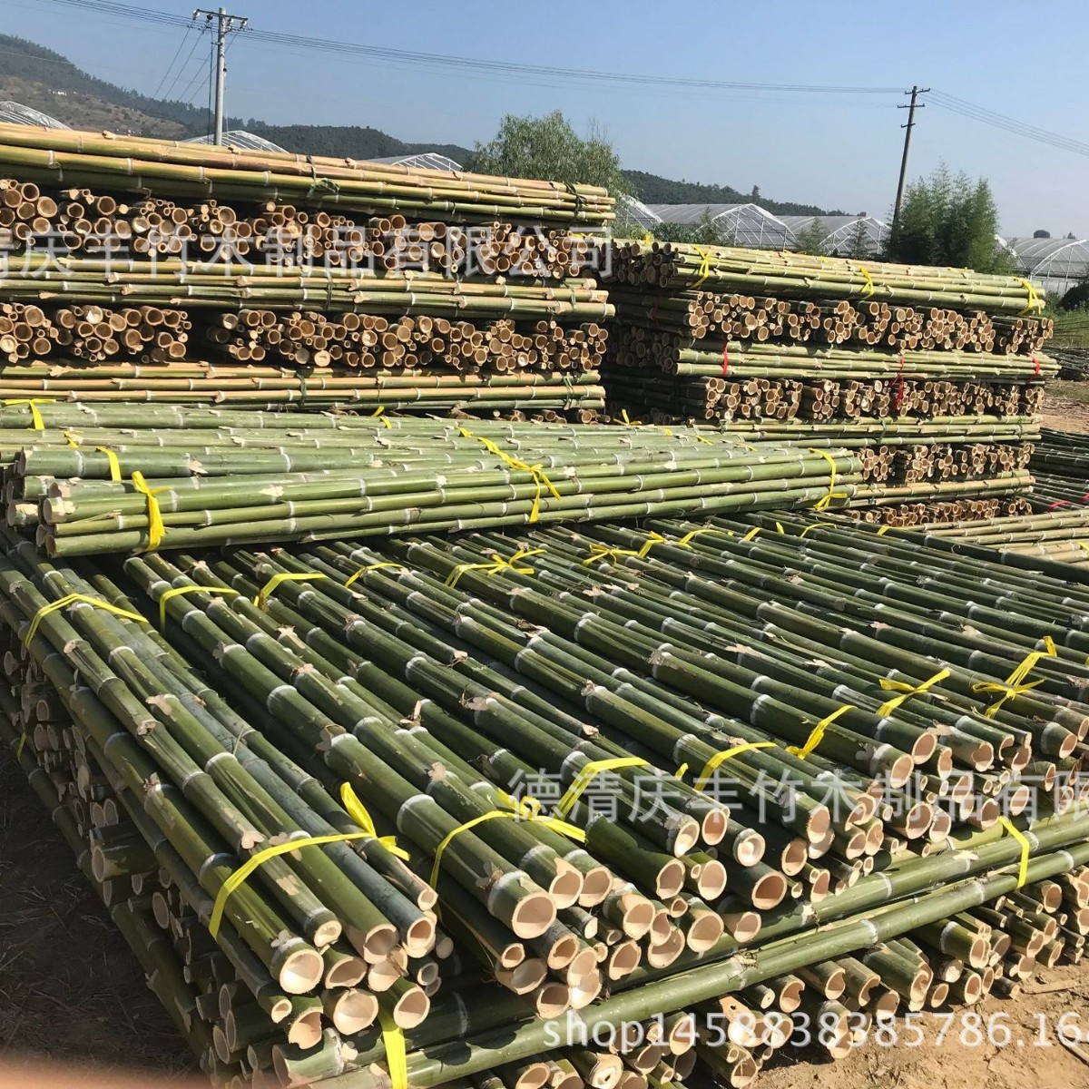 产地厂家直销暖棚毛竹尾立柱1.5米2米2.3米2.5米2.8米规格齐|ru
