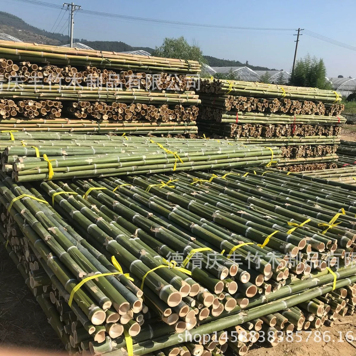 Производственная фабрика прямых продаж теплицы бамбукового хвоста колонны 1,5 м 2 м 2,3 м 2,5 м 2,8 м