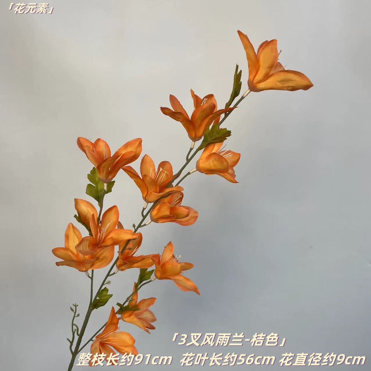 오렌지