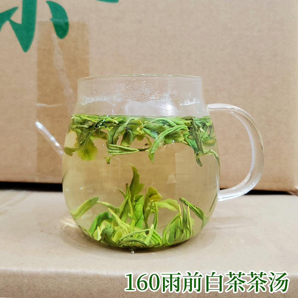 江南制茶厂白茶3