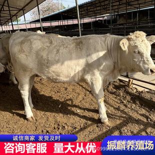 �������������R�Nţ �����Rţ��ţ�� ����˹��ţ�ٷNţ