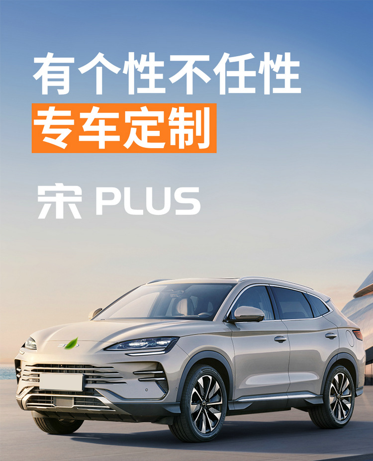 BYD Song plusdmi Cushion Four Seasons General 25 Song plus Glory Edition Special Seat Cover ev Cushion