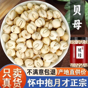 �F؛�Ĵ���ؐĸ��Ұ����ؐ��Ʒ��ؐĸ���Ҝ����末��ؐĸ�ٰl