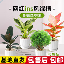 �k�������������҃ȿ͏d�ֵ�����LС�����ļ����˺��B����ȩ