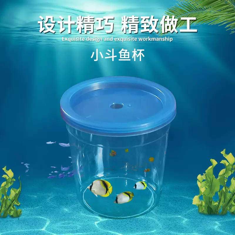带手提小斗鱼杯水母杯昆虫儿童玩具观赏小鱼盒乌龟盒宠物水族用品