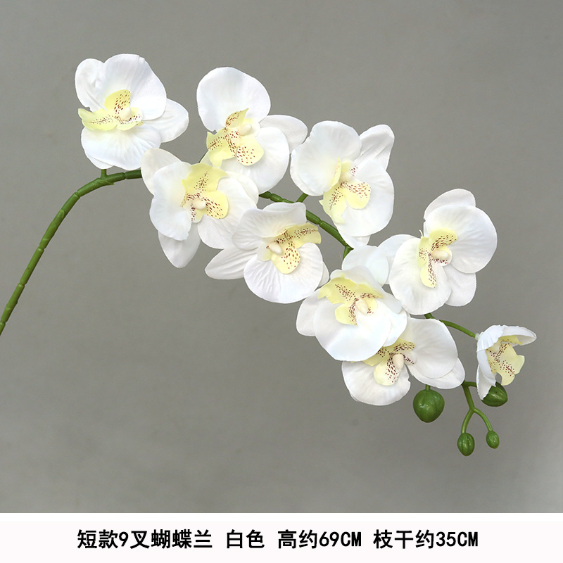 9 head short white silk cloth