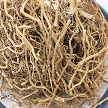 野生大伸筋中药材牛尾菜 牛尾蕨 牛尾结 大通根金刚豆藤 正品包邮