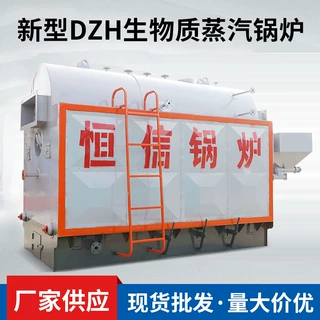 加工定制新型DZH生物质蒸汽锅炉供暖单位洗衣房酒店学校用 规格多