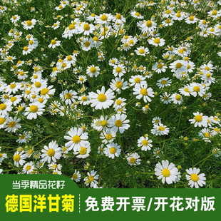 ��Ʒ����ʾշN���л���ʾ��_�R�ʾ��y���ջ����̨ͥԺ����