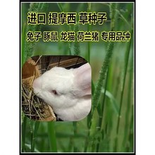 ĦݷNӌmi؈ɲʳòѶN