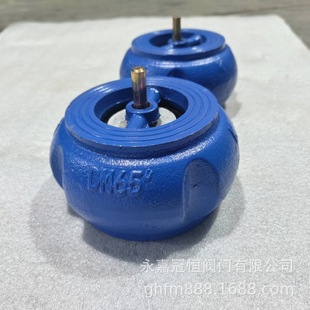 ˮ�Ì��Aʽ��ֹ�y �����������y H71X-10 DN250