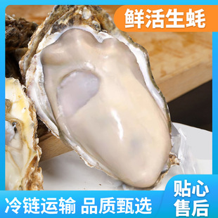 ����r������5�ﺣ�rˮ�a�r��󂀺�Ϡ�ӎ���ĵϠ���һ�����l