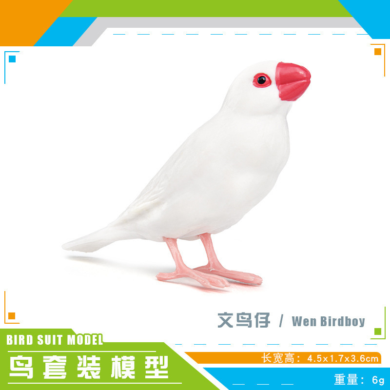 Simulación amazónica de pájaros hummingbirds, colibríes, pájaros, aves, animales, modelos de escritorio, juguetes decorativos estáticos