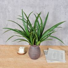 �m���~�����m���~���m�~�ָ��^�zޥ�m�~���S���l�m���~�����m���