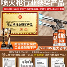 德国卡式喷火枪气罐液化气多功能手持高温家用烧毛烧肉打火点火器