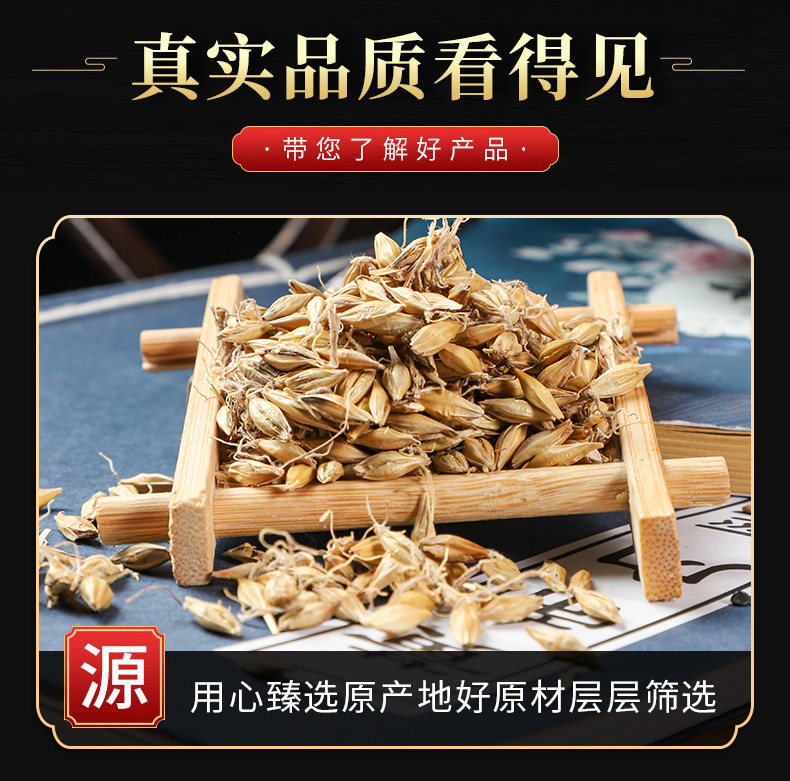 Malt (Hordeum vulgare) — Dried Food-Herb Grain for Tea, Soup & Congee key features