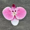 Small, 3D, 9.5cm