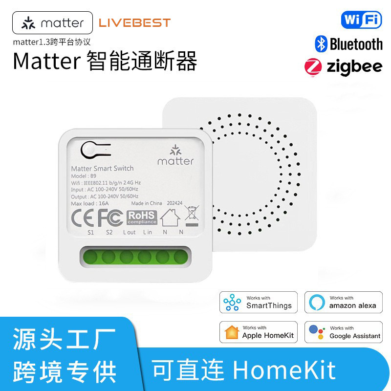 Smart Matter over wifi interrupter HomeKit Alexa Voice Google Remote Control 10