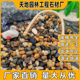Creek Sand Big Sand Gerbil Sand Fish Tank Landscape Iron Gallbladder Big Sand Pebble Aquarium River Sand River Sand Stream Stone Pea Stone