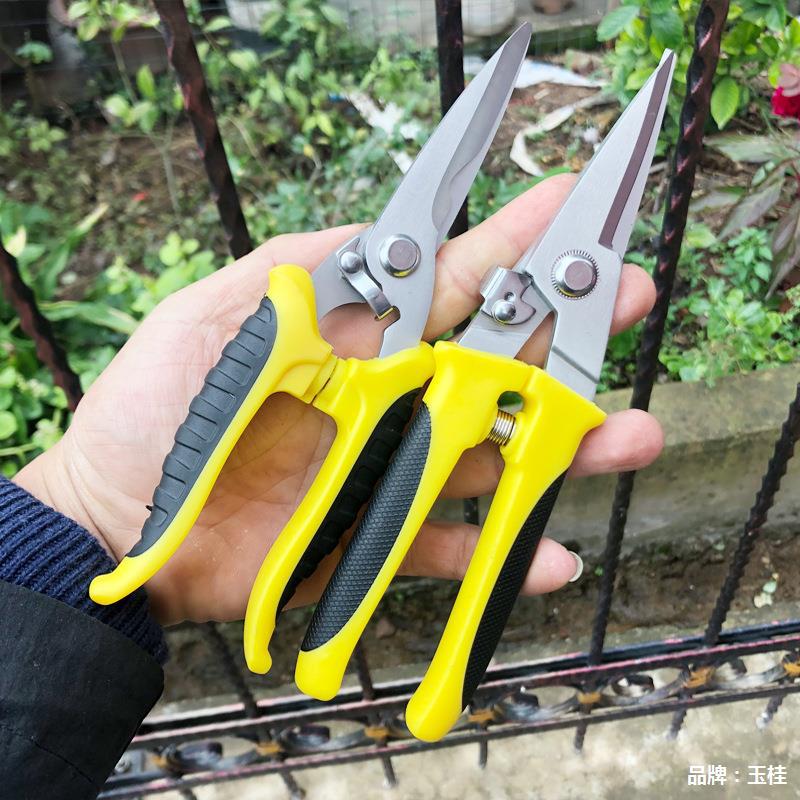 Grape pruning scissors, gardening fruit bud picking scissors, citrus fruit pruning scissors, flower picking and thin fruit pruning, fruit and vegetable pruning scissors for gardening