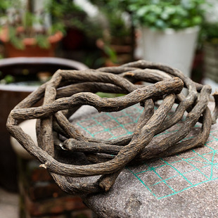 Vine Vine Dry Branch Floriculture Floriculture Landscape Material DIY Zen Flower Material Decorative Vase Flower Material