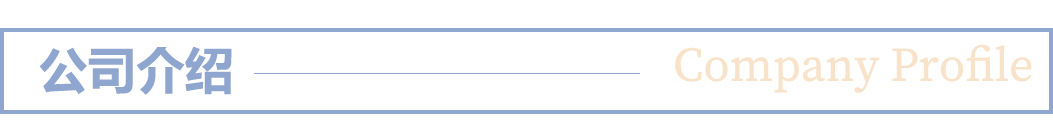 公司介绍