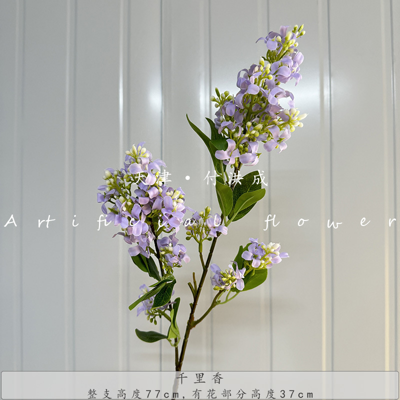 Qianli-라이트 퍼플