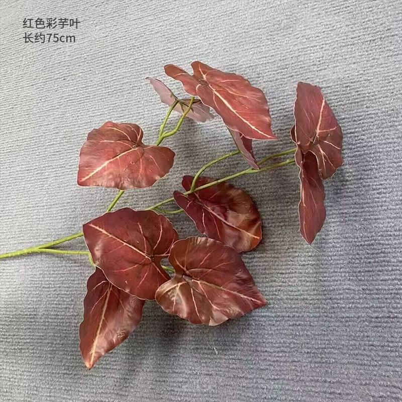 Una hoja de taro de color rojo