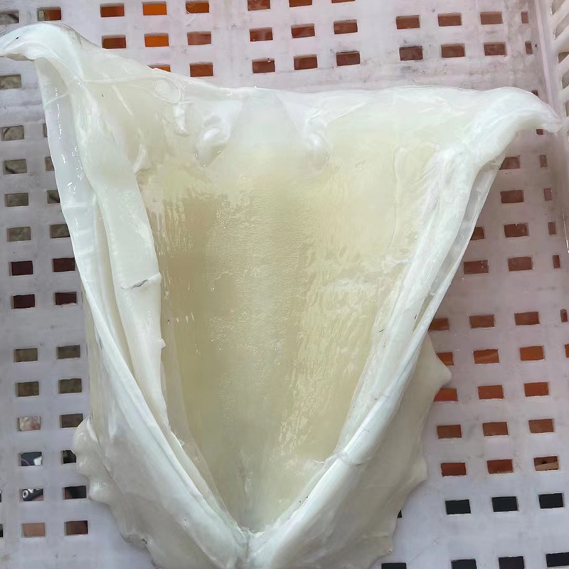 微信图片_202303061135086