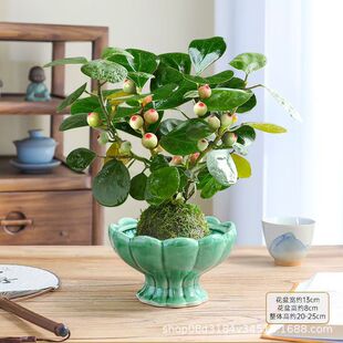 ��������Ԏ���������l؛�S��ֱ�Nһ��Ҳ�����l�r���_�lƱ���l��