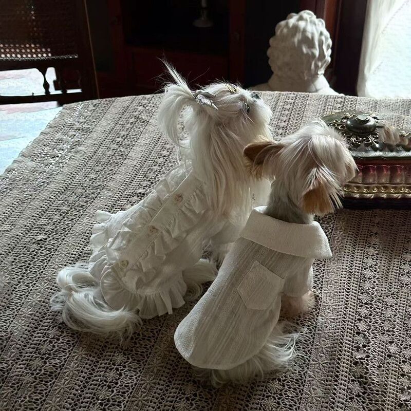 Dog Clothes, Cream Shirt, Spring and Summer Skirt, Bichon Frize Yorkshire Comfortable Clothes, Pet Clothes, Thin and Cute