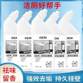 洁厕灵液马桶清洗剂厕所清洁剂源头工厂定制OEM