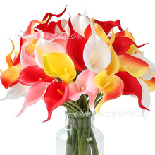 PU ܛ�z�R��ɏ���滨 ��c�������Ҿ��bٻ� �羳�������l ��ɫ