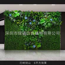 ���И䄦ɽ������ֲ�1ƽ���|�����w����Gֲ���bGɫ�쾰