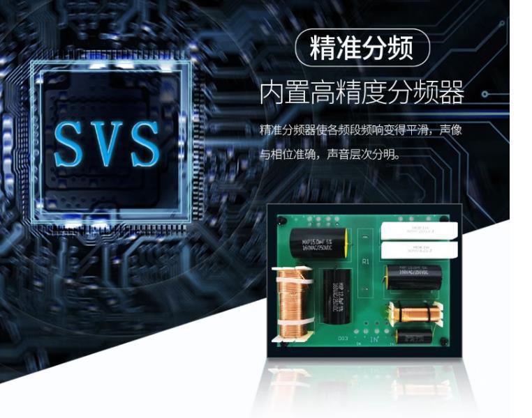 SVS 会议扩声设备 E-8L 专业音箱