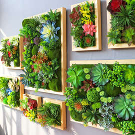 S588绿植多肉壁挂田园挂饰壁饰立体电表箱遮挡室内植物墙墙面