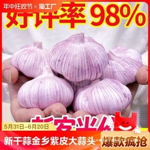 �¸���5������^�N�Ӹɴ���N�Ѻ������l���r�߲�2/3/10����Ƥ��