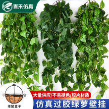 常青藤条吊篮藤蔓壁挂假过胶绿萝葡萄叶子装饰花藤绿植物管道吊顶